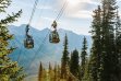 Banff City Tour & Gondola Ride